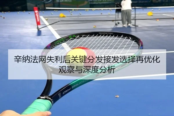辛纳法网失利后关键分发接发选择再优化观察与深度分析